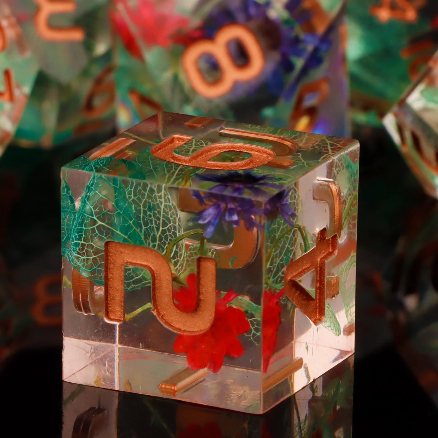 Shadewarden – Liquid‑Core 7‑Piece Dice Set