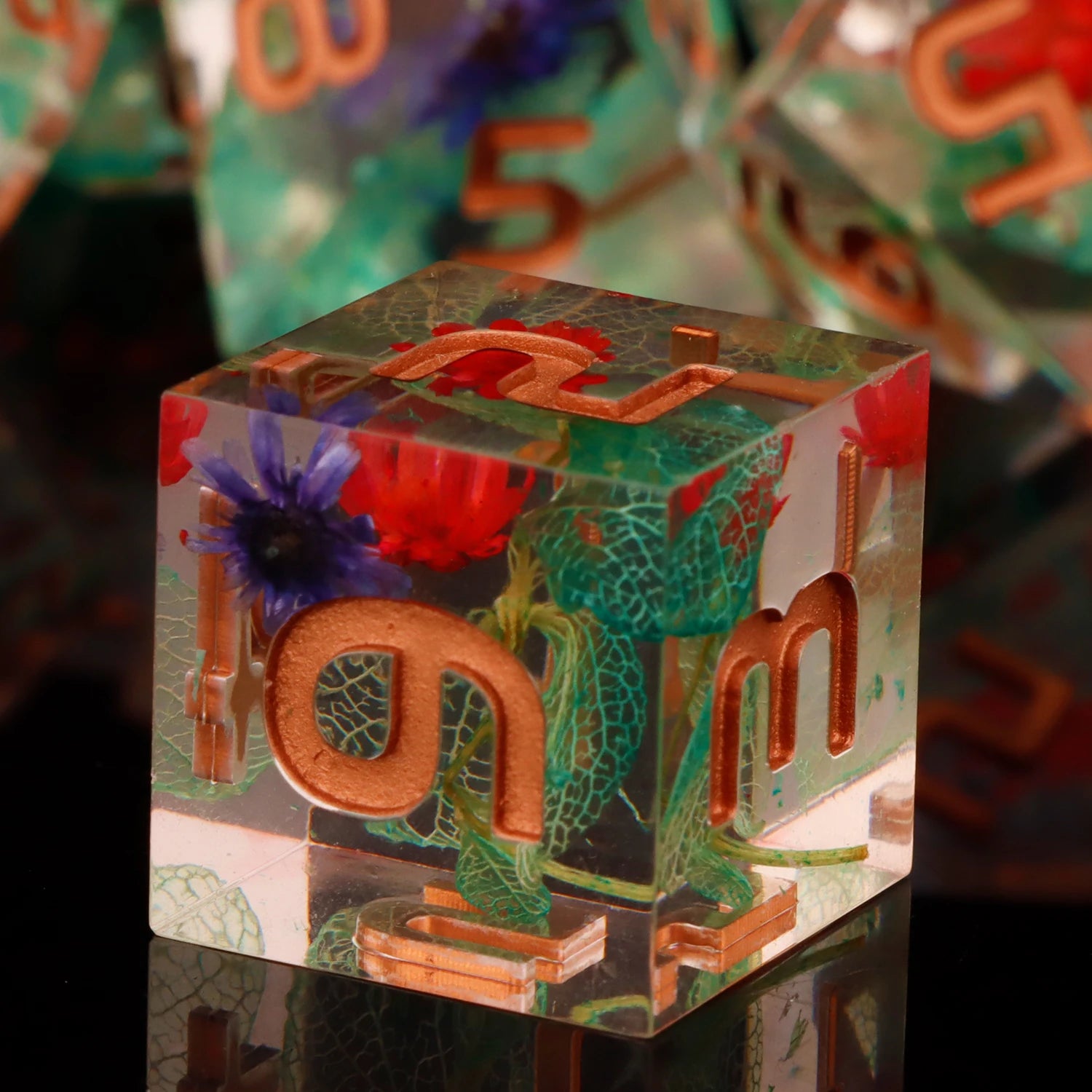 Shadewarden – Liquid‑Core 7‑Piece Dice Set